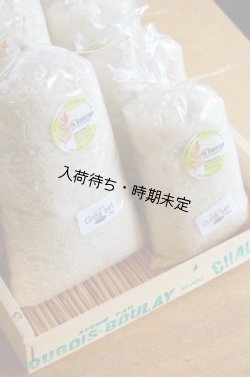 画像5: La Salorge de la Vertonne  ヴェルトンヌの粗塩 -Gros sel-　小(500g)