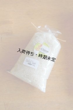 画像1: La Salorge de la Vertonne  ヴェルトンヌの粗塩 -Gros sel-　小(500g)