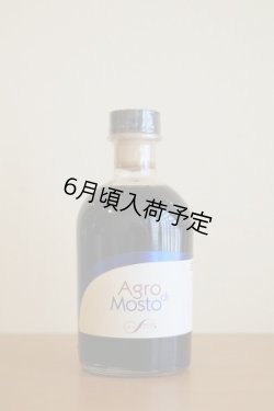 画像1: アンティカ・アチェタイア アグロ・ディ・モスト　ぶどう果汁100%バルサミコ酢　2年熟成(250ml)
