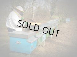 画像2: レ・クエルチェ　プロポリス＆ハチミツのキャンディー(100g)