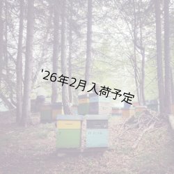 画像5: レ・クエルチェ　ハチミツ　レモン(200g)