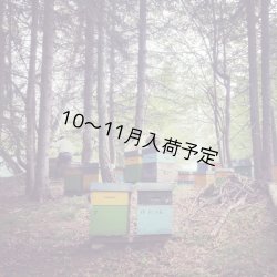 画像5: レ・クエルチェ　ハチミツ　リンデン(200g)
