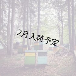 画像5: レ・クエルチェ　ハチミツビネガー(250ml)