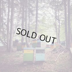 画像3: レ・クエルチェ　プロポリス＆ハチミツのキャンディー(100g)