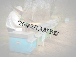 画像3: レ・クエルチェ　ハチミツ　アルプスの花(200g)