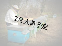 画像3: レ・クエルチェ　ハチミツ　アルプスの花(200g)