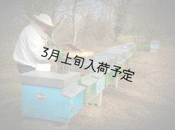 画像3: レ・クエルチェ　ハチミツ　アルプスの花(200g)