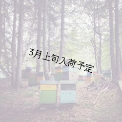 画像4: レ・クエルチェ　ハチミツ　アルプスの花(200g)