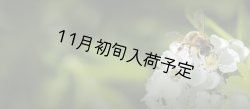 画像6: レ・クエルチェ　ハチミツ　アルプスの花(200g)