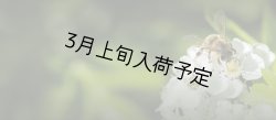画像6: レ・クエルチェ　ハチミツ　アルプスの花(200g)