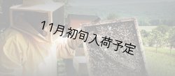 画像5: レ・クエルチェ　ハチミツ　アルプスの花(200g)