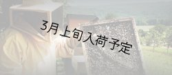 画像5: レ・クエルチェ　ハチミツ　アルプスの花(200g)