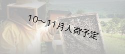 画像6: レ・クエルチェ　ハチミツ　リンデン(200g)