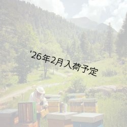 画像3: レ・クエルチェ　ハチミツ　レモン(200g)