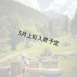 画像2: レ・クエルチェ　ハチミツ　アルプスの花(200g)