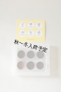 画像2: アンティカ・ドルチェリア・ボナイユート　6種のスパイスチョコレート(6粒)