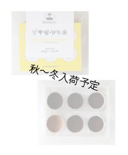 画像1: アンティカ・ドルチェリア・ボナイユート　6種のスパイスチョコレート(6粒)