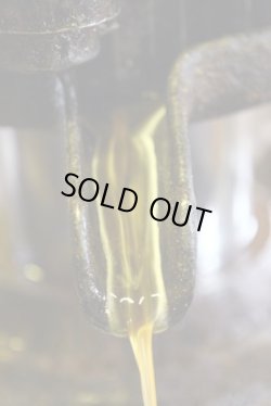 画像6: フランス産木の実のオイル2種と塩の花　ギフト箱入りセット