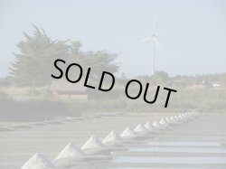 画像8: フランス産木の実のオイル2種と塩の花　ギフト箱入りセット