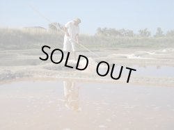 画像7: フランス産木の実のオイル2種と塩の花　ギフト箱入りセット