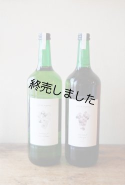 画像2: 【在庫限りで終売】エーデルレーベ　トラウベンモスト　グリューナーフェルトリーナー2022≪オーガニック・ワイン用白ぶどうのジュース≫　(1000ml)