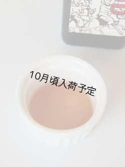 画像2: ボスコ・ファルコネリア　赤ワインヴィネガー（500ml）