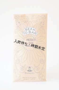 画像1: アンティカ・ドルチェリア・ボナイユート　Bean to Bar チョコレート  Mexico Selva Tabasqueno(45g)