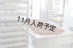 画像5: アンティカ・ドルチェリア・ボナイユート　チョコレート"カルダモン"(50g)