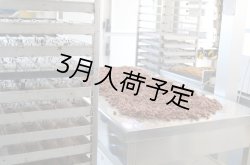 画像6: アンティカ・ドルチェリア・ボナイユート　チョコレート"シナモン"(100g)