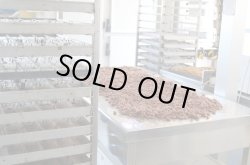 画像5: アンティカ・ドルチェリア・ボナイユート　チョコレート"ペルー"(50g)