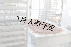 画像5: アンティカ・ドルチェリア・ボナイユート　チョコレート"ロバミルク" (50g)