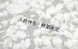 画像4: アンティカ・ドルチェリア・ボナイユート　チョコレート　ジャスミン（20g）