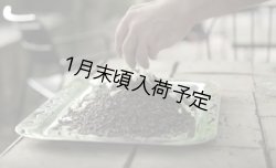 画像6: アンティカ・ドルチェリア・ボナイユート　チョコレート　ジャスミン（20g）