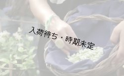 画像5: アンティカ・ドルチェリア・ボナイユート　チョコレート　ジャスミン（20g）