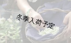 画像5: アンティカ・ドルチェリア・ボナイユート　チョコレート　ジャスミン（20g）