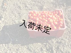 画像3: ヴァルディベッラ　パッサータ・ディ・ポモドーロ(410g)