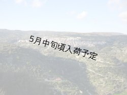 画像4: カステル・ディ・レゴ ビアンコリッラ EXVオリーブオイル(750ml)