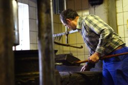 画像5: Huilerie de Blot ヘーゼルナッツオイル・ミニサイズ（100ml）