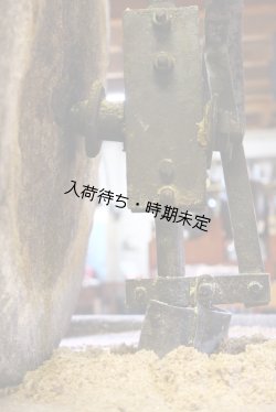 画像3: Huilerie de Blot くるみオイル・ミニサイズ（100ml）