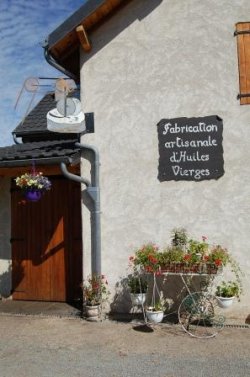 画像11: Huilerie de Blot EXVオリーブオイル（250ml）