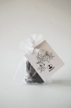 画像1: アンティカ・ドルチェリア・ボナイユート　チョコレート　ジャスミン（20g）