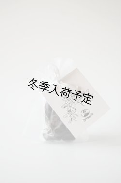 画像1: アンティカ・ドルチェリア・ボナイユート　チョコレート　ジャスミン（20g）