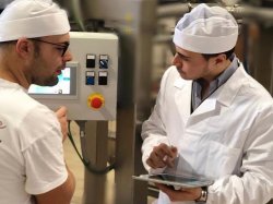 画像6: イル・ムリーノ・ディ・グラニャーノ　リガトーニIGP  BIO  500g