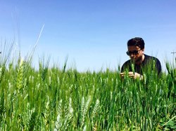 画像4: イル・ムリーノ・ディ・グラニャーノ　スパゲッティIGP  BIO  500g