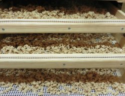 画像3: Huilerie de Blot パスタ セップ茸（250g）