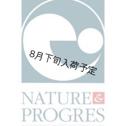 画像4: ゲランドの塩　顆粒（500g）