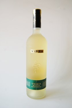 画像1: 白・辛口　ビジ　ヴィプラ ビアンコIGT2024 (750ml)