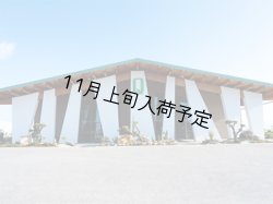 画像2: 【初登場】クアットロチョッキ　EXVオリーブオイル　NOVELLO2026(500ml)　