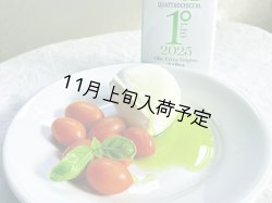 画像6: 【初登場】クアットロチョッキ　EXVオリーブオイル　NOVELLO2026(500ml)　