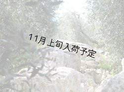 画像3: 【初登場】クアットロチョッキ　EXVオリーブオイル　NOVELLO2026(500ml)　